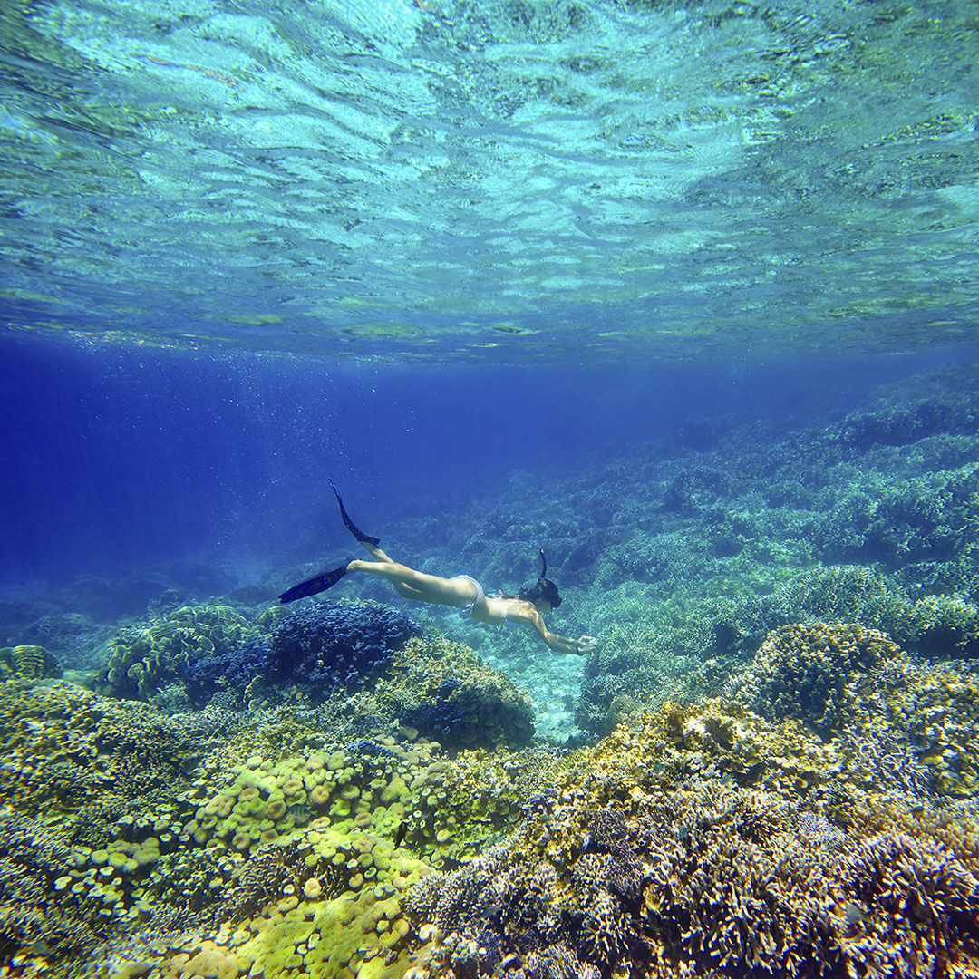 HALF DAY - Snorkeling Adventure (from Khao Lak)