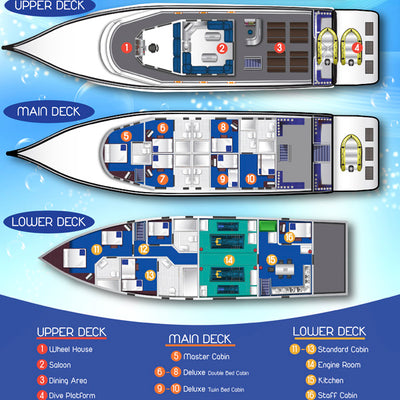 LIVEABOARD 5 days / 4 nights - Similan, Koh Bon, Tachai, Surin & Richelieu Rock - M/v Andaman Queen